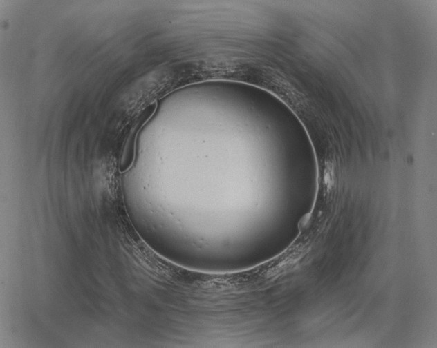X0000064050867200601271225
