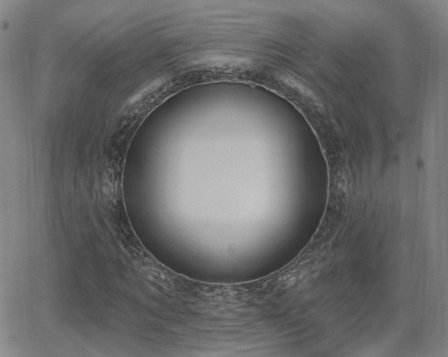 X0000064050869200601271225
