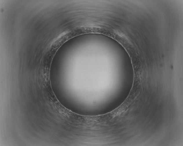 X0000064050870200601271225