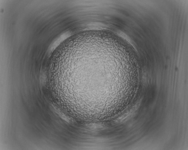 X0000064050874200601271224