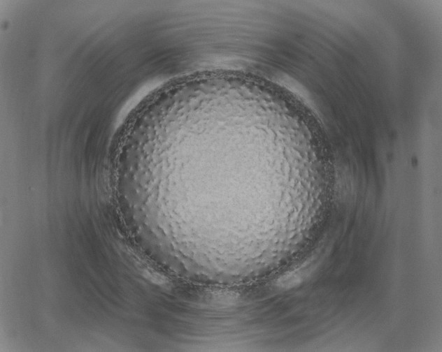 X0000064050878200601271224