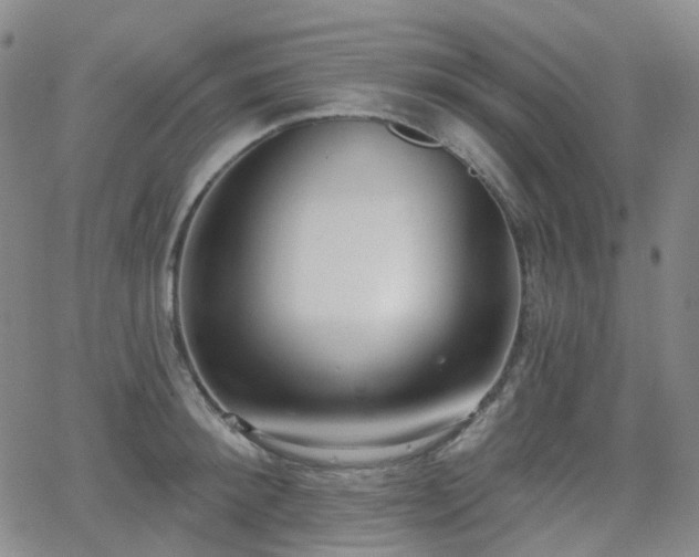 X0000064050900200601271224