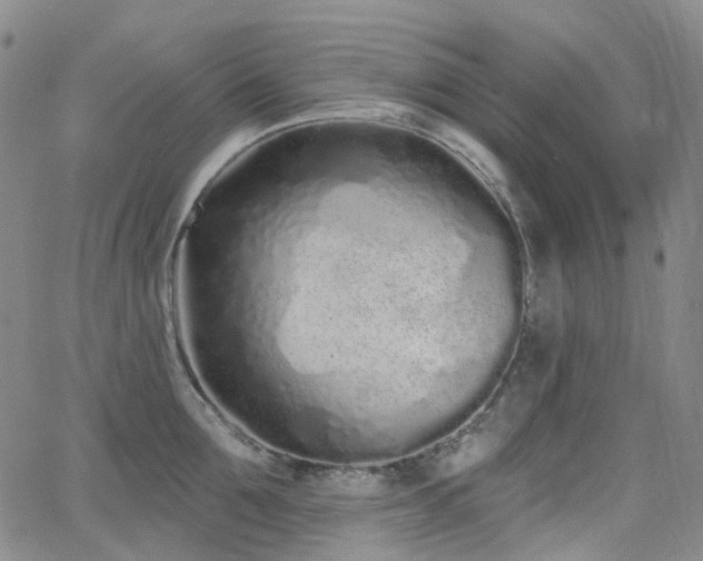 X0000064050907200601271224