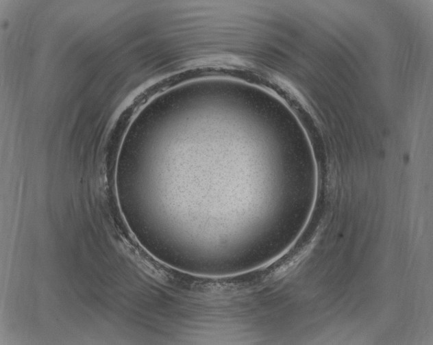 X0000064050923200601271223