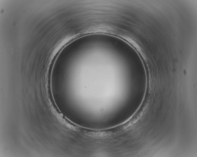 X0000064050949200601271224