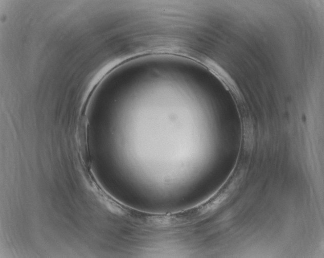 X0000064050956200601271224