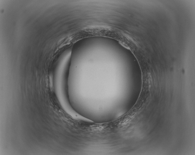 X0000064050965200601271223