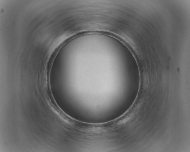 X0000064050982200601271223