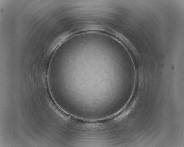X0000064050985200601271223