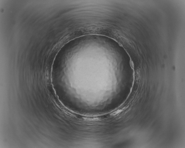 X0000064051011200601271222