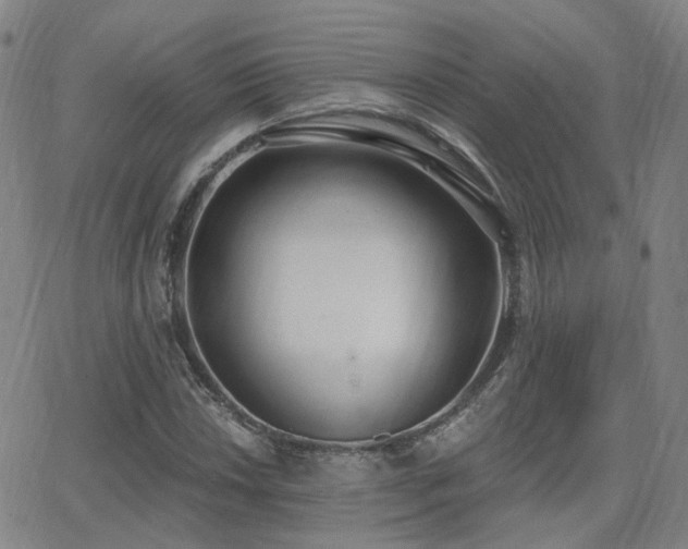 X0000064051018200601271222