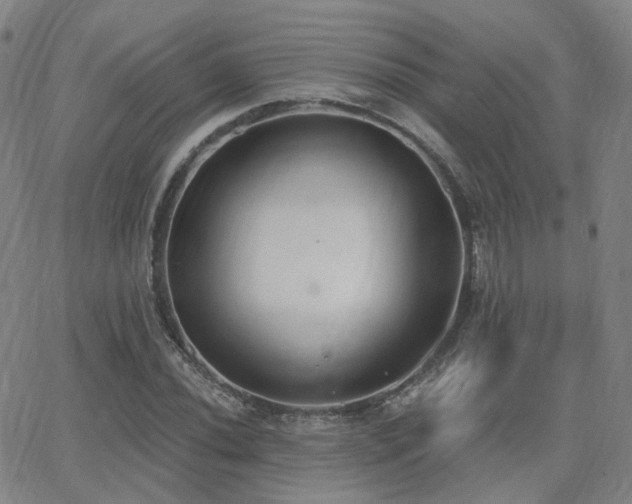 X0000064051020200601271222