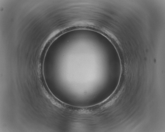 X0000064051029200601271222