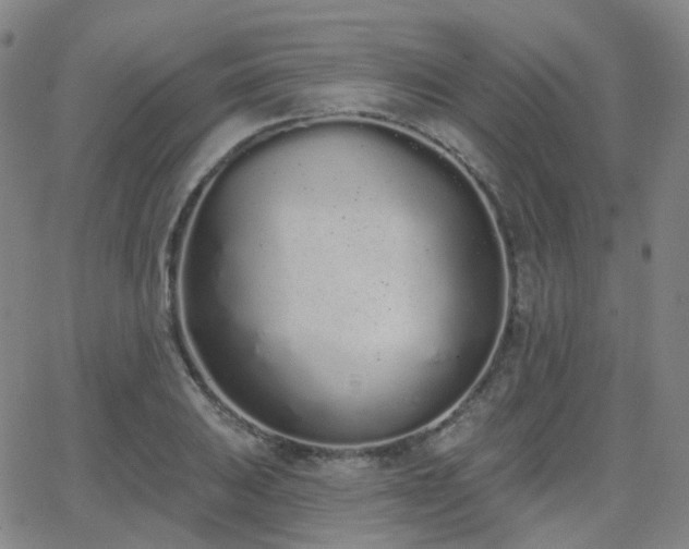 X0000064051031200601271222
