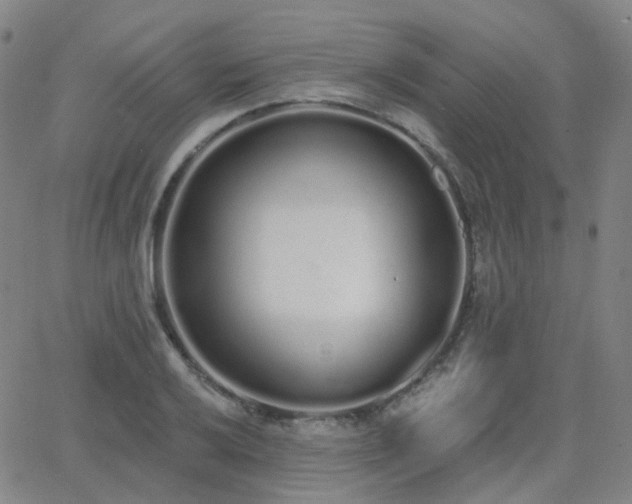 X0000064051032200601271222