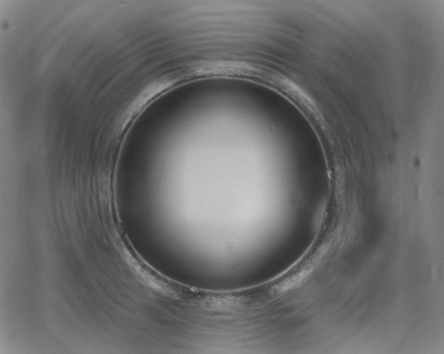 X0000064051041200601271222