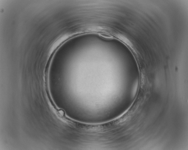 X0000064051047200601271222