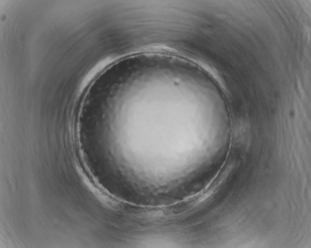 X0000064051054200601271222