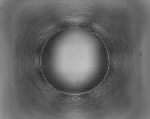 X0000064051061200601271221