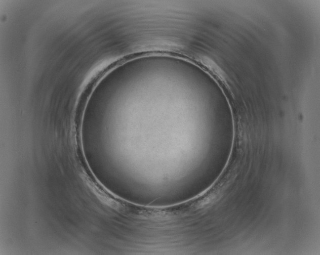 X0000064051072200601271221