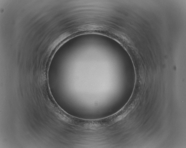 X0000064051073200601271221