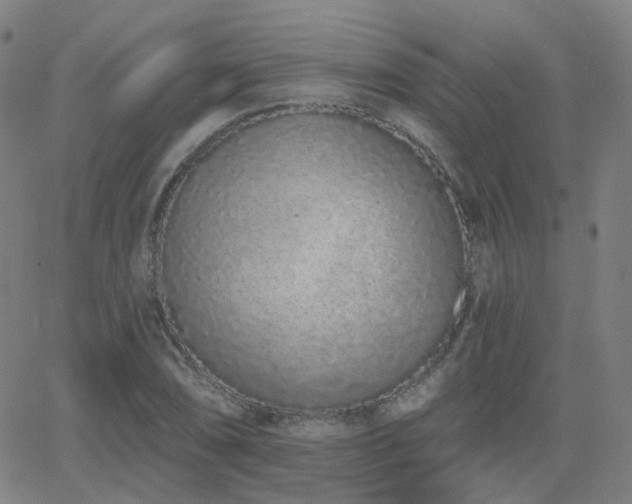 X0000064051074200601271221