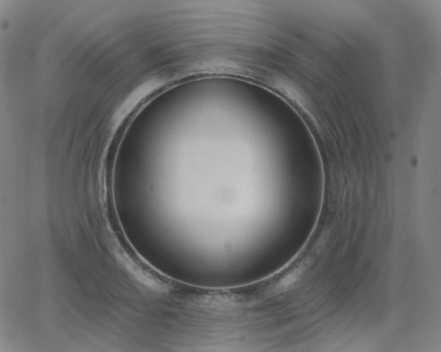 X0000064051082200601271221