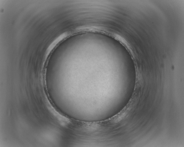 X0000064051090200601271221