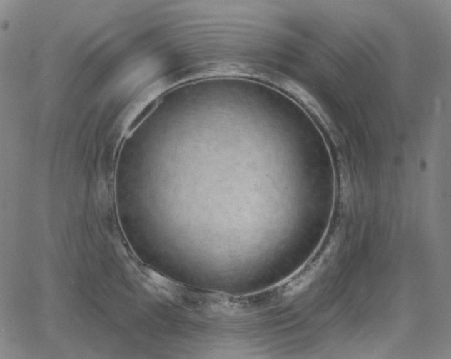 X0000064051097200601271221