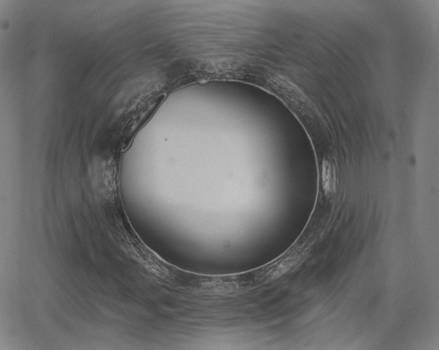 X0000064051107200601271220
