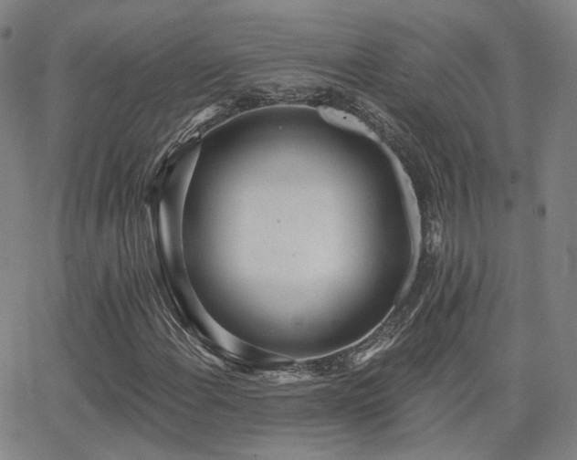 X0000064051108200601271220