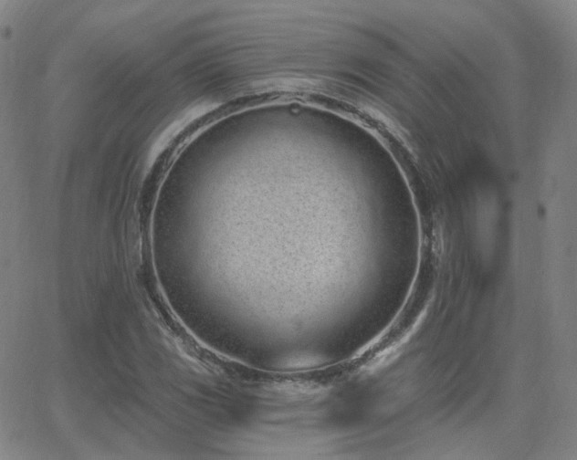 X0000064051117200601271220