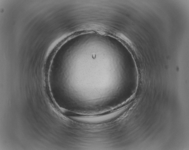 X0000064051120200601271220