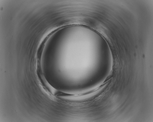 X0000064051132200601271220