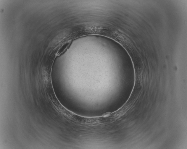 X0000064051154200601271220
