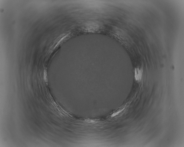 X0000064051155200601271220
