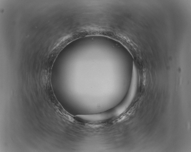 X0000064051157200601271220