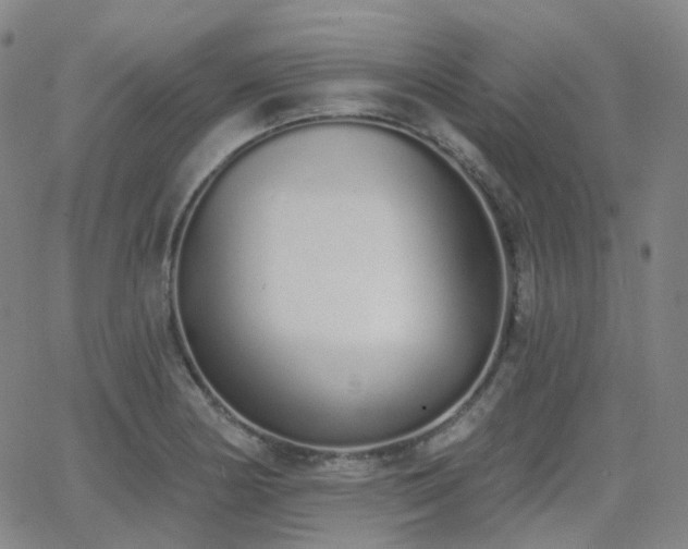 X0000064051178200601271219