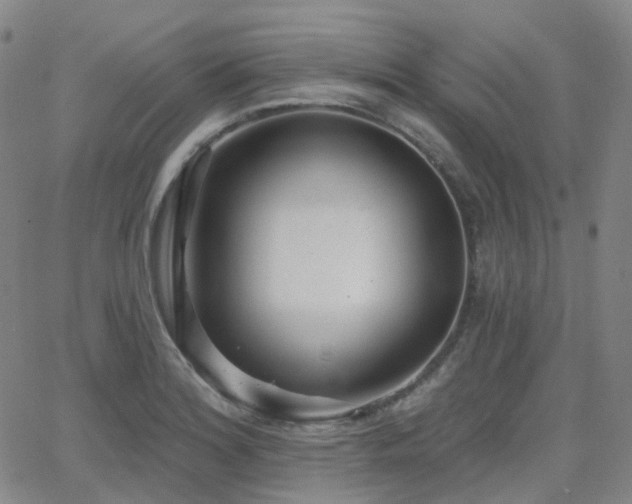 X0000064051180200601271219