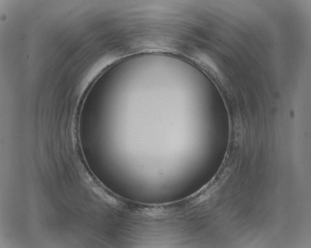 X0000064051182200601271219