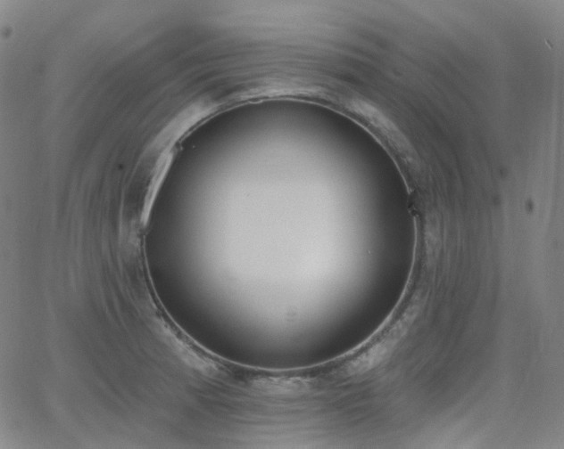 X0000064051185200601271219