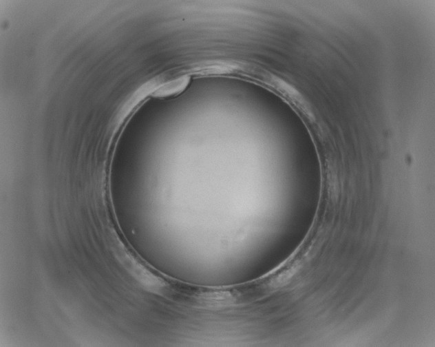 X0000064051186200601271219