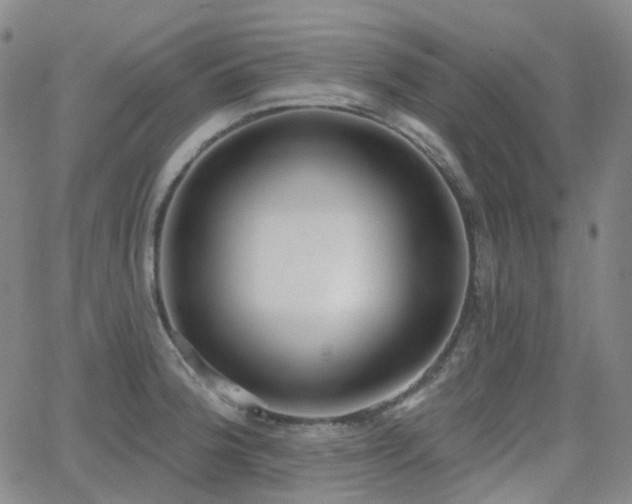 X0000064051188200601271219