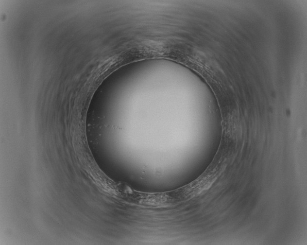 X0000064051201200601271218