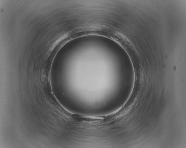 X0000064051210200601271219