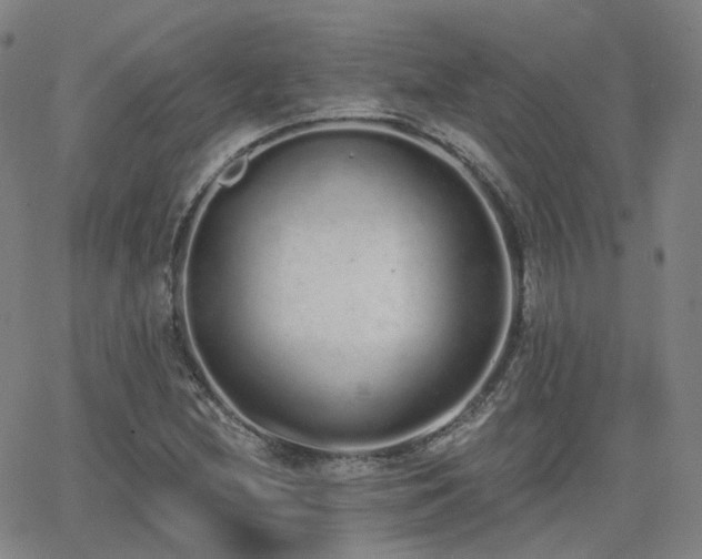 X0000064051212200601271219