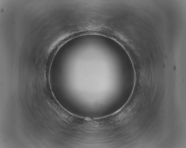 X0000064051214200601271219