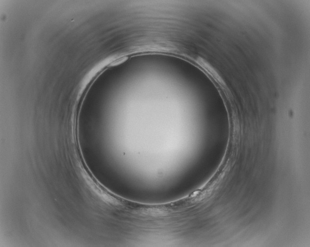 X0000064051246200601271219