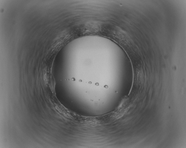 X0000064051250200601271218