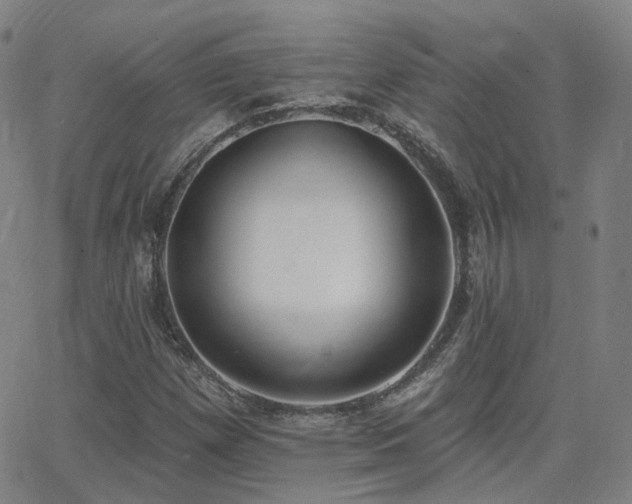 X0000064051257200601271218